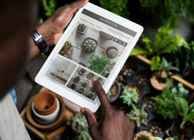 How Websites Grow Organically: The Science Behind Sustainable Digital Growth